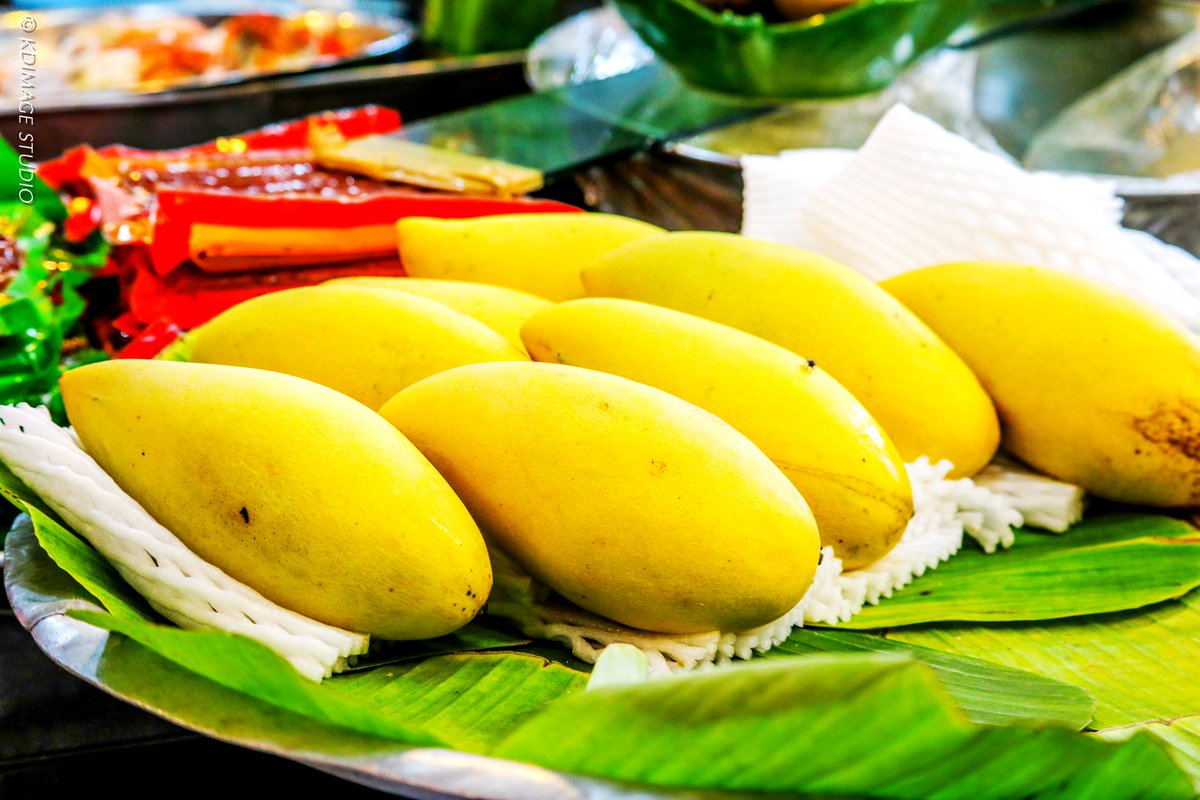 Marshall Ncube tweet media