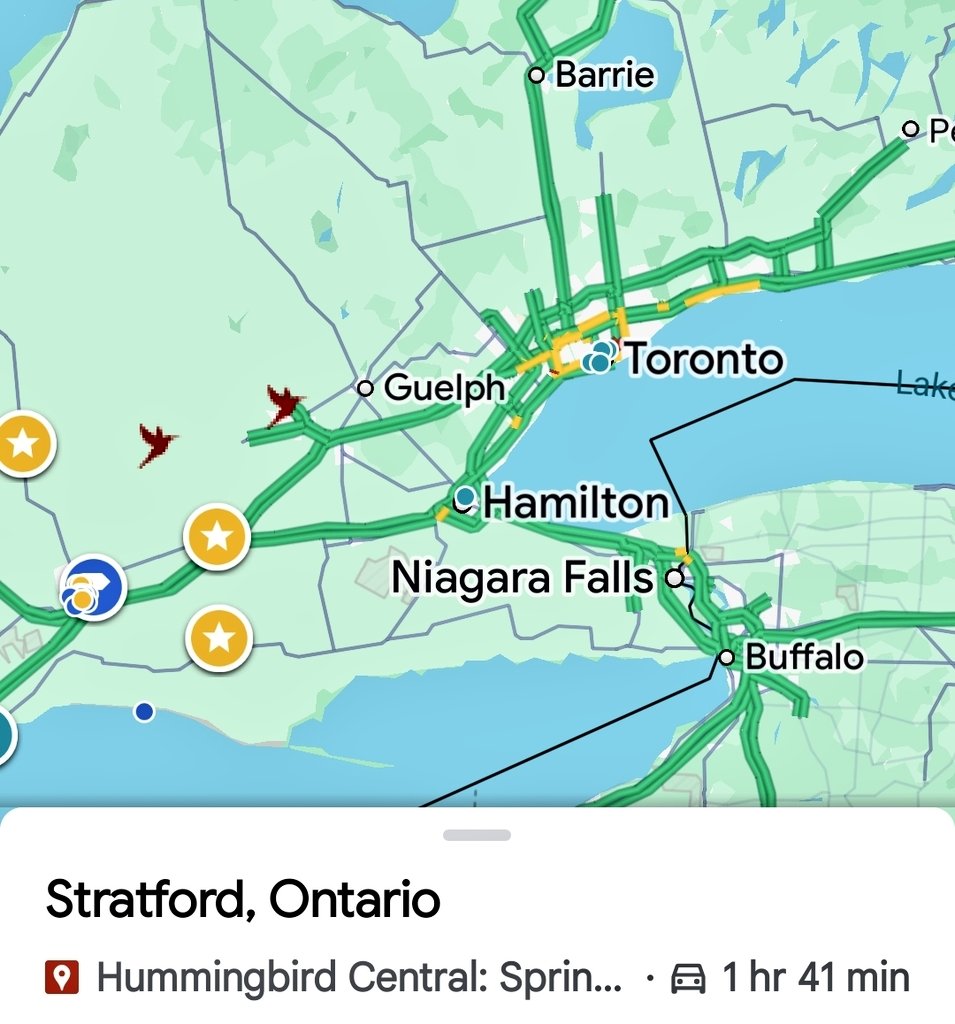 Hummingbird sightings in Stratford and Guelph strongly indicate hummingbirds have reached the north and south shores of Lake Erie.🌊