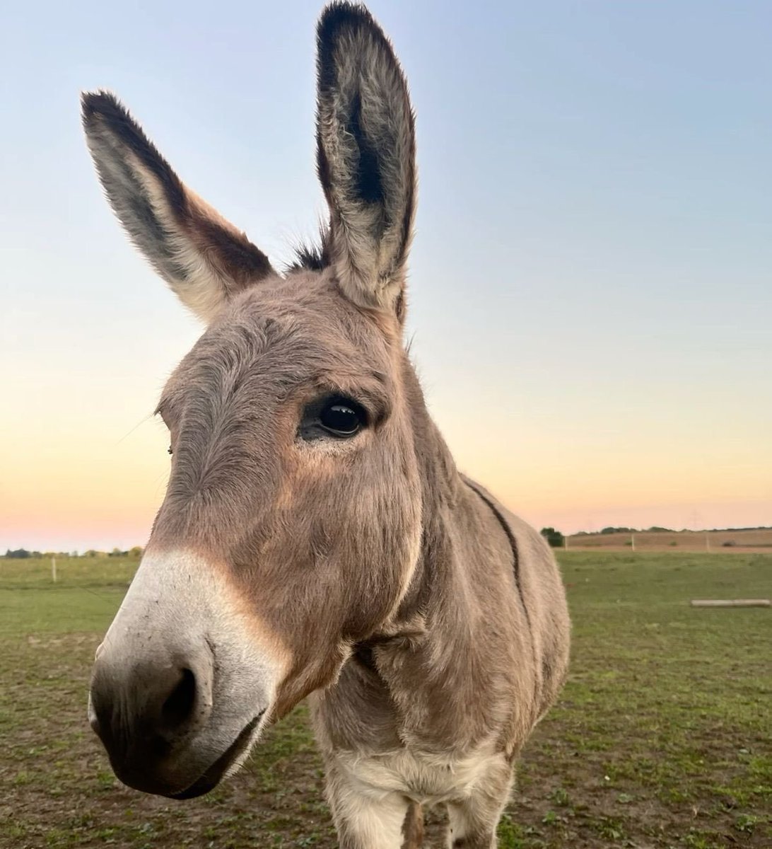 République tweet media