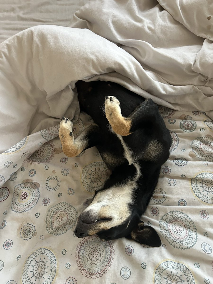 Mag💋⁷ 2.0 tweet media