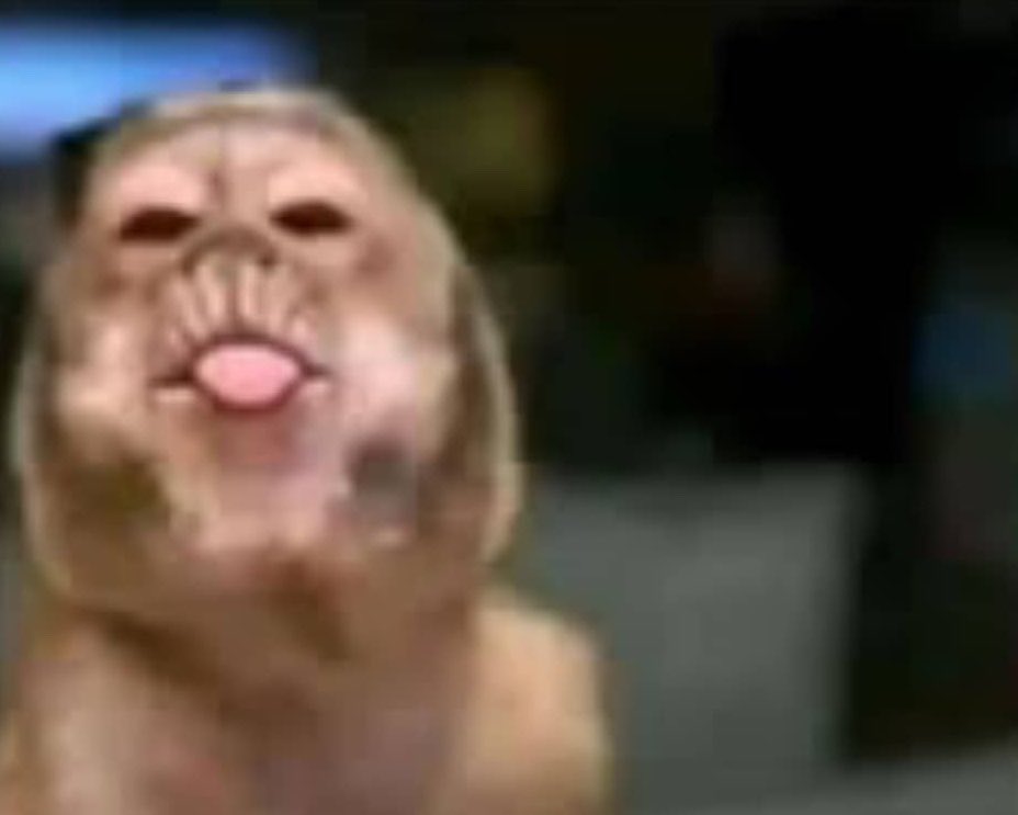 Kasese's Finest 🇺🇬 tweet media