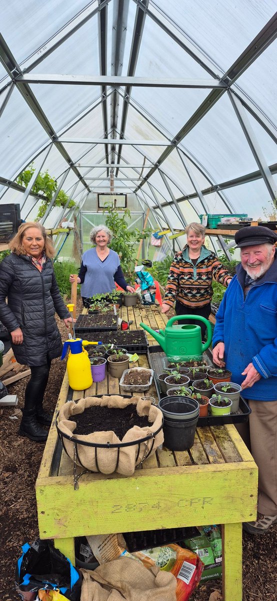 Togher Community Garden tweet media