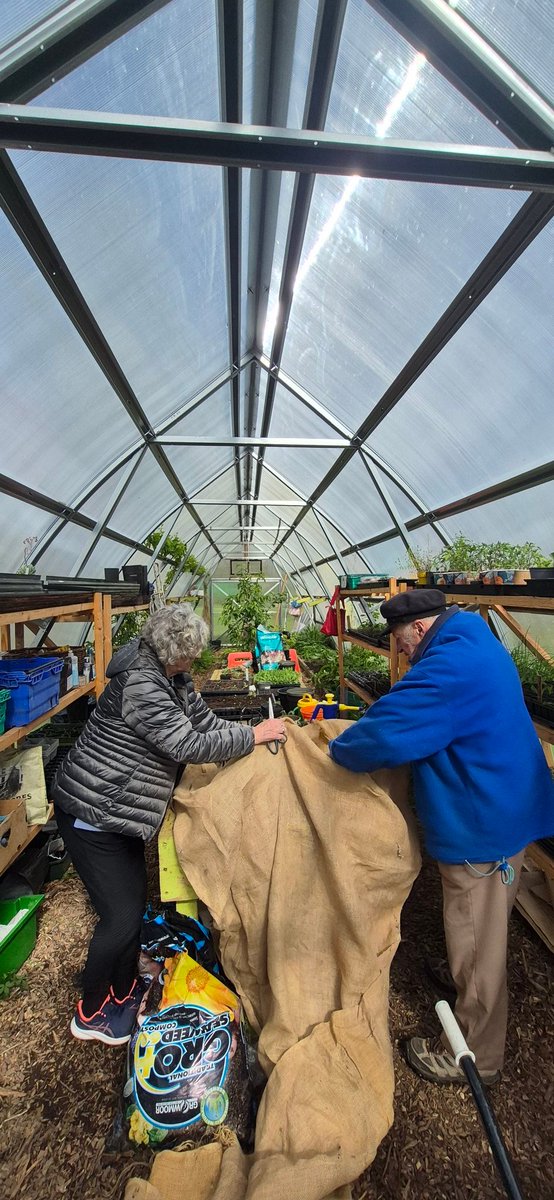 Togher Community Garden tweet media