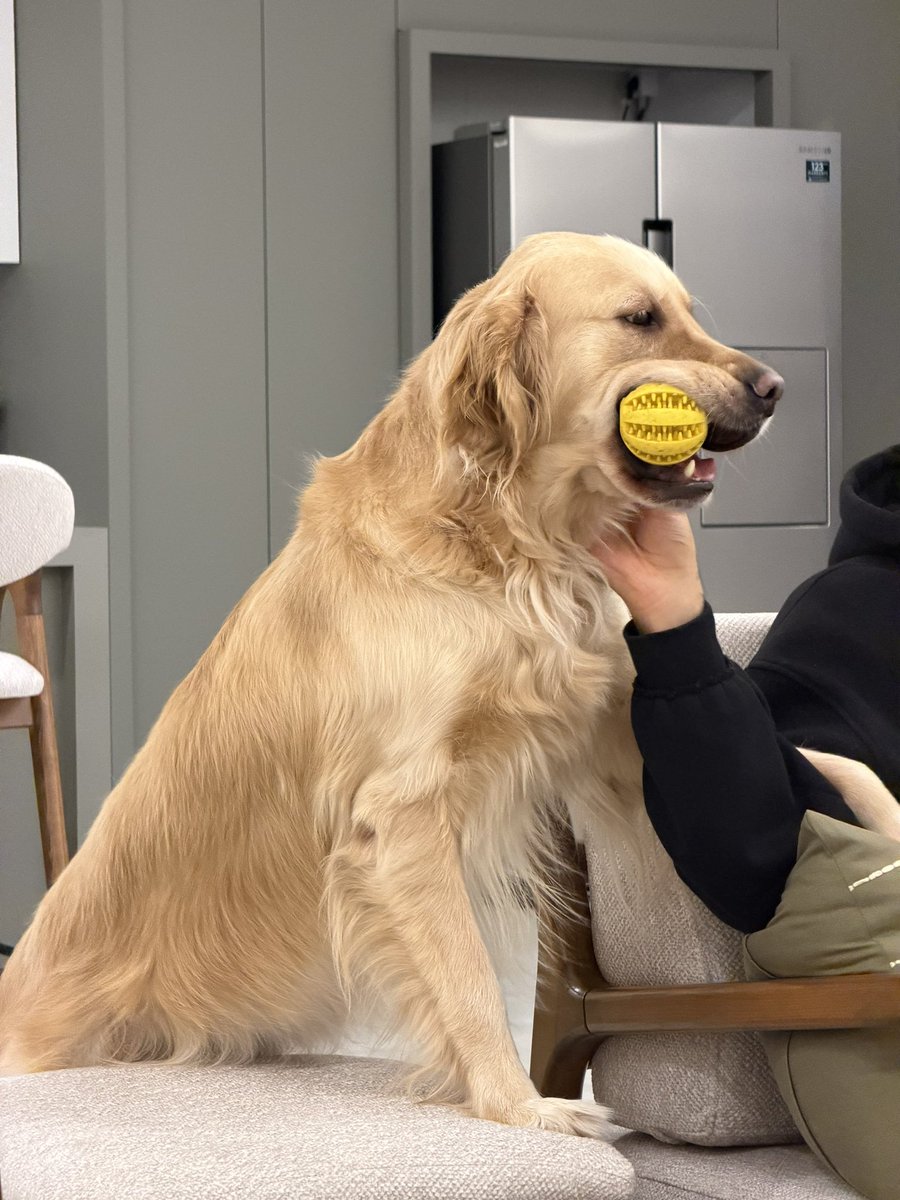 انتخاب غیرطبیعی tweet media