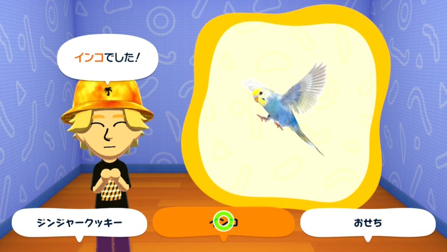 解像度(dpi)の高いインコが出てきてワイ、ニコリ…