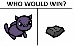 🦎🌵 riley tweet media