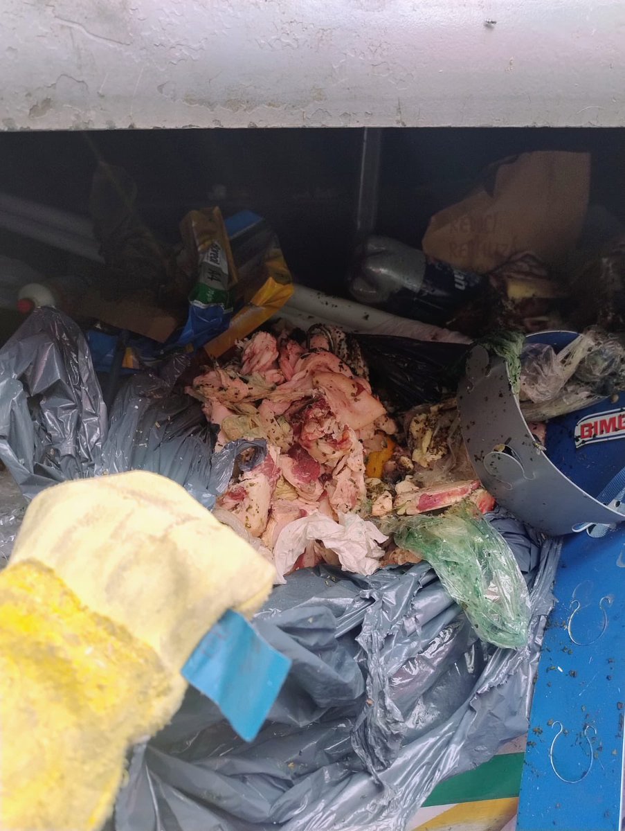 AmbienteMuniCba's tweet image. 🚯 Dos locales clausurados en barrio Alberdi por mala disposición de residuos: una veterinaria arrojaba patógenos en contenedores públicos y una carnicería dejaba restos en la vía pública. 
Más info: cordoba.gob.ar/clausuran-vete…