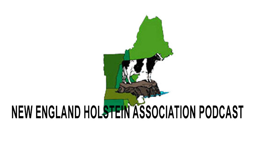 dairybusiness's tweet photo. New England Holstein Association podcast: Betsy Bullard speaks with Keenan Thygesen of Farmstead Genetics.
https://t.co/kDqvpskqAl https://t.co/ADJZVgdQPq