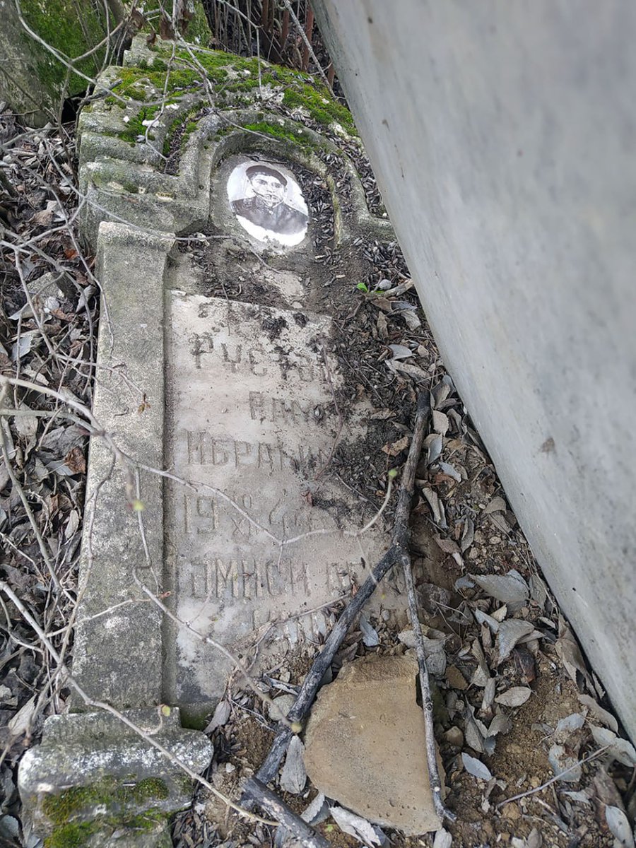 🇦🇿🇩🇪🇦🇺 𐰋 𐰃 𐰾 𐰆 𐰘 tweet media