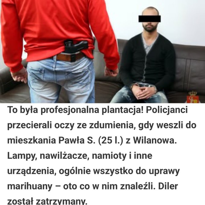 Nina Mirror tweet media