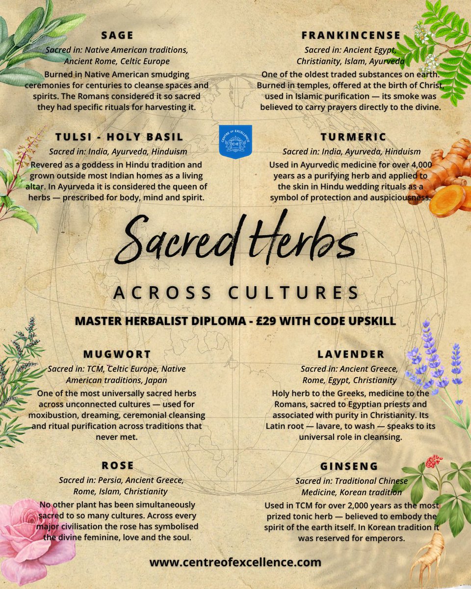 Online_Courses's tweet photo. Eight herbs. Dozens of civilisations. One shared truth about the power of plants. This infographic barely scratches the surface of what herbal wisdom has to offer. 

👉 Explore it all for just £29 with code UPSKILL

https://t.co/PHuThUupNa https://t.co/77vpoSKxtv