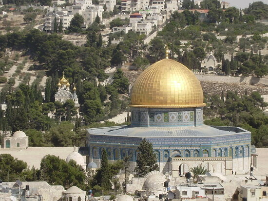 Liberal.Konservativ.Lesen tweet media