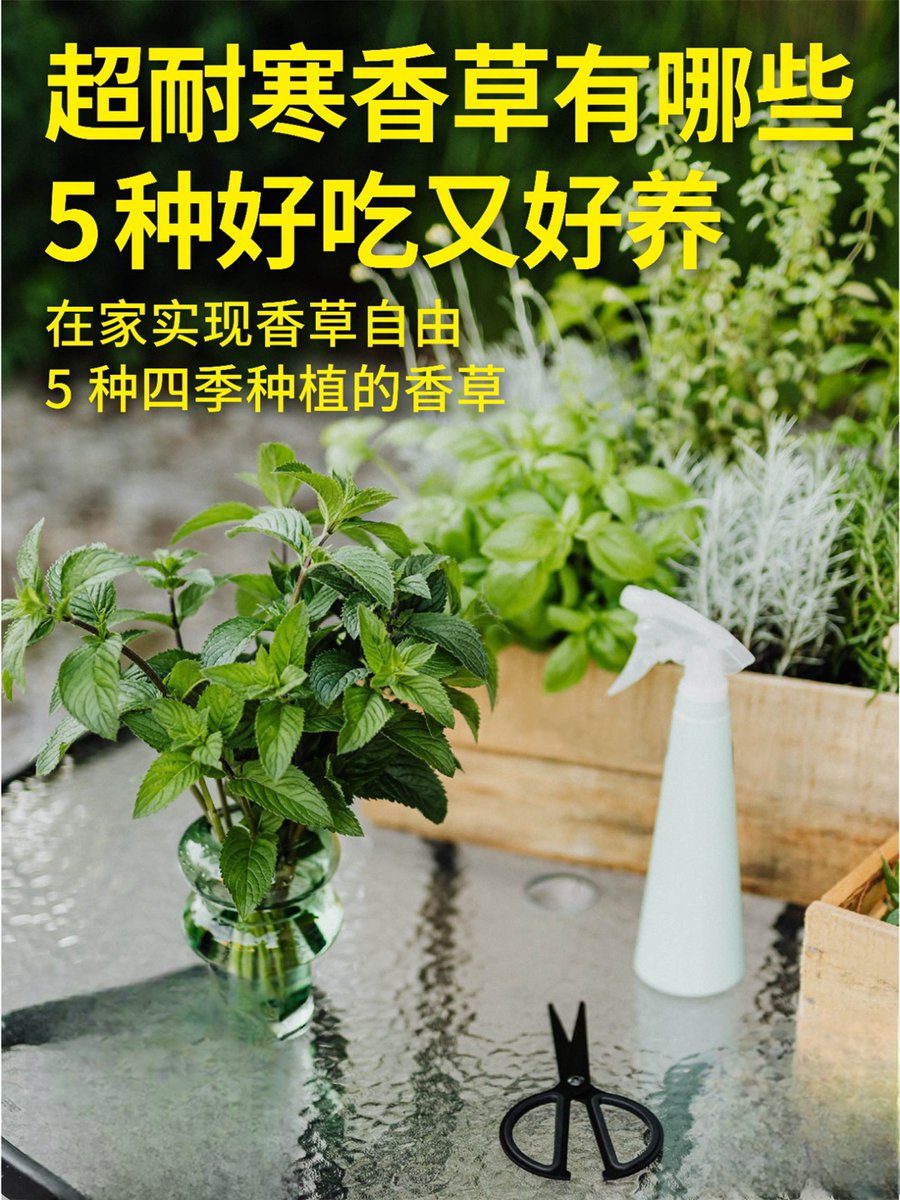 Ut Efohrn tweet media