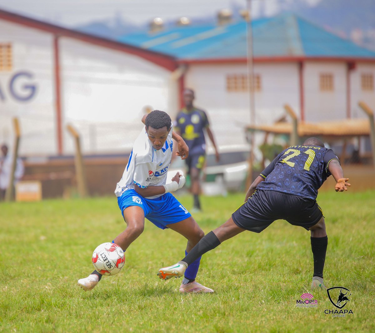 Ankoles_Own tweet media