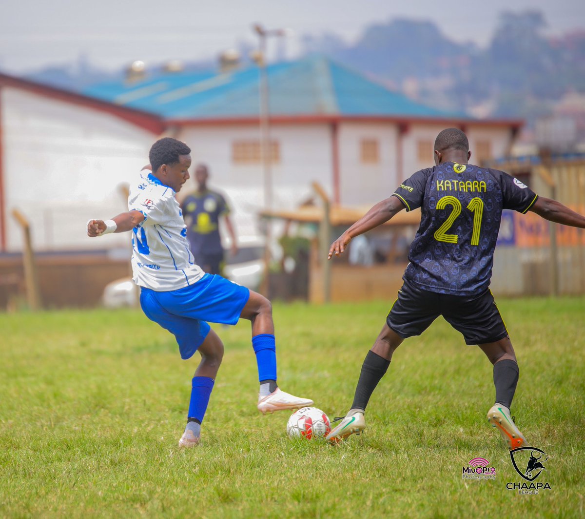 Ankoles_Own tweet media