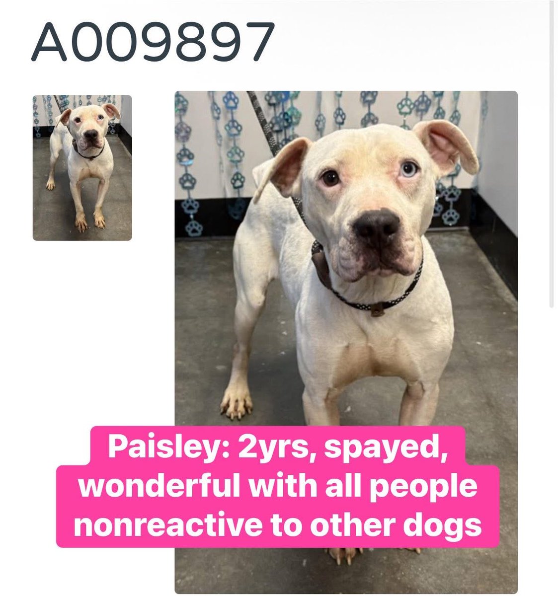 Fionaismybitch tweet media