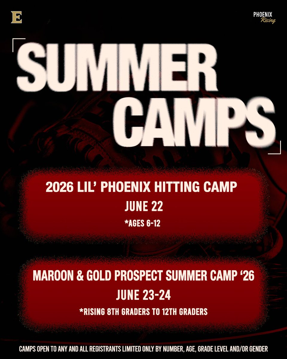 Elon Softball tweet media