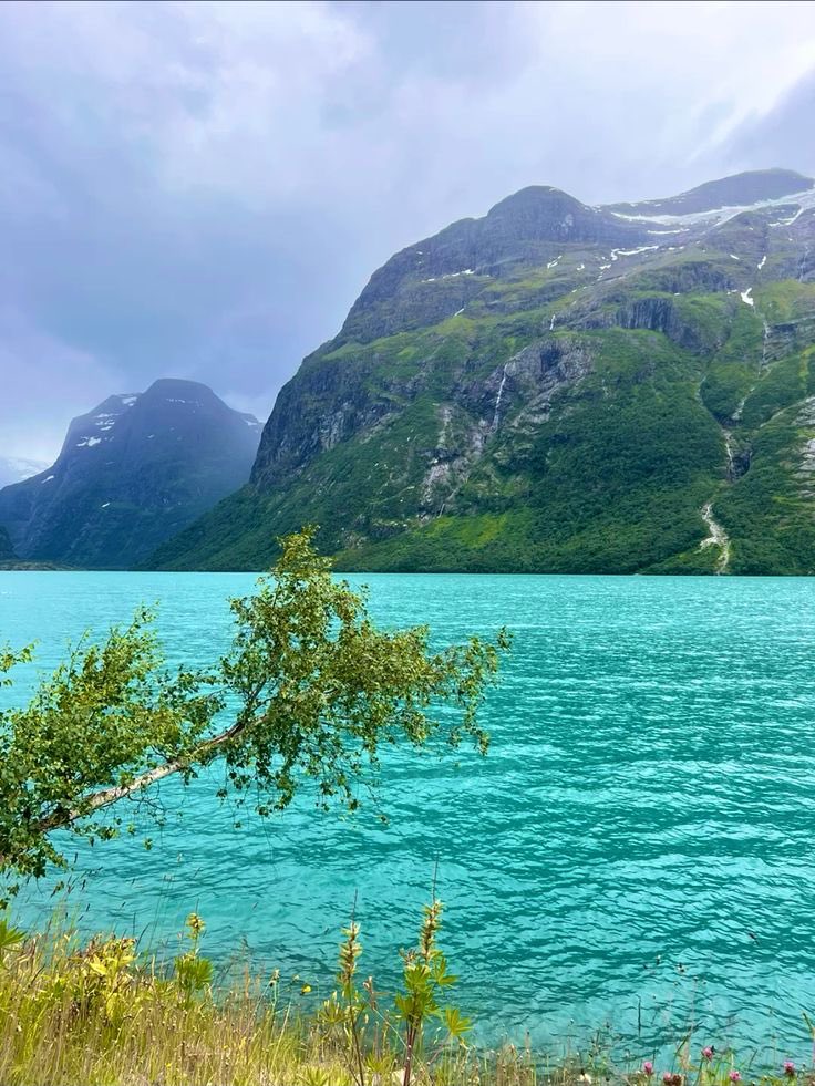 جمال الطبيعة tweet media