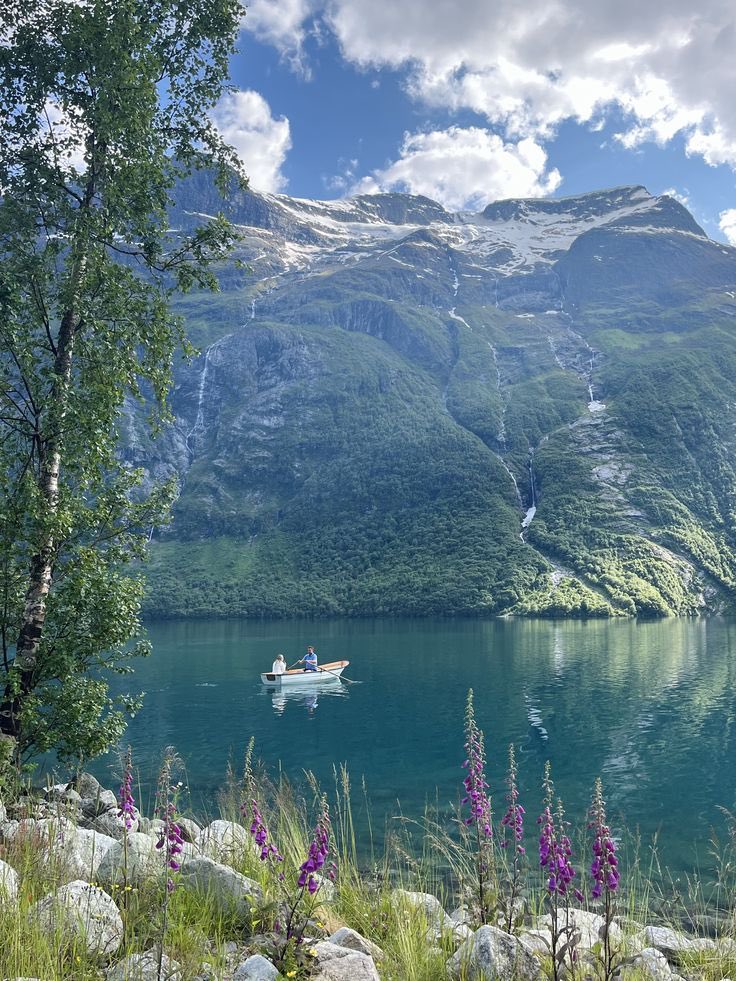 جمال الطبيعة tweet media