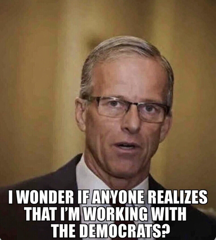 Elizabeth Otero Young tweet media