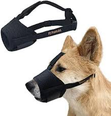 ابو『 سيف ➹ 』🛫 🇸🇦 tweet media