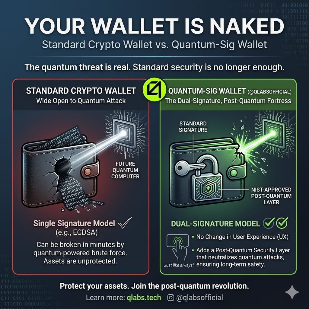 Winter Johnson tweet media