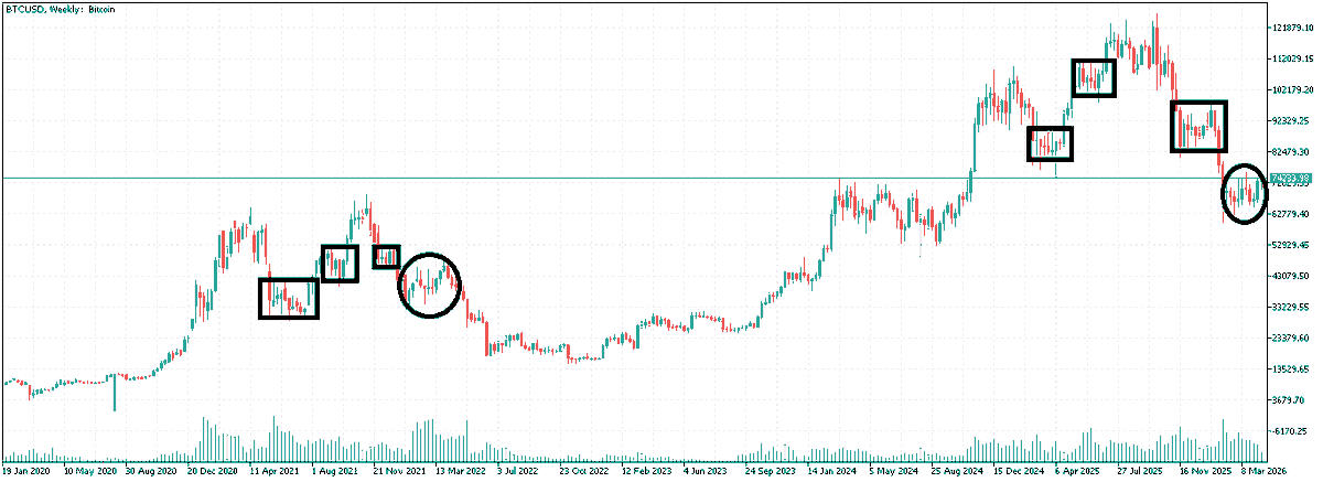 老张 ❤ tweet media