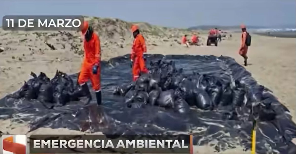 Claudia Guerrero Martínez ® tweet media