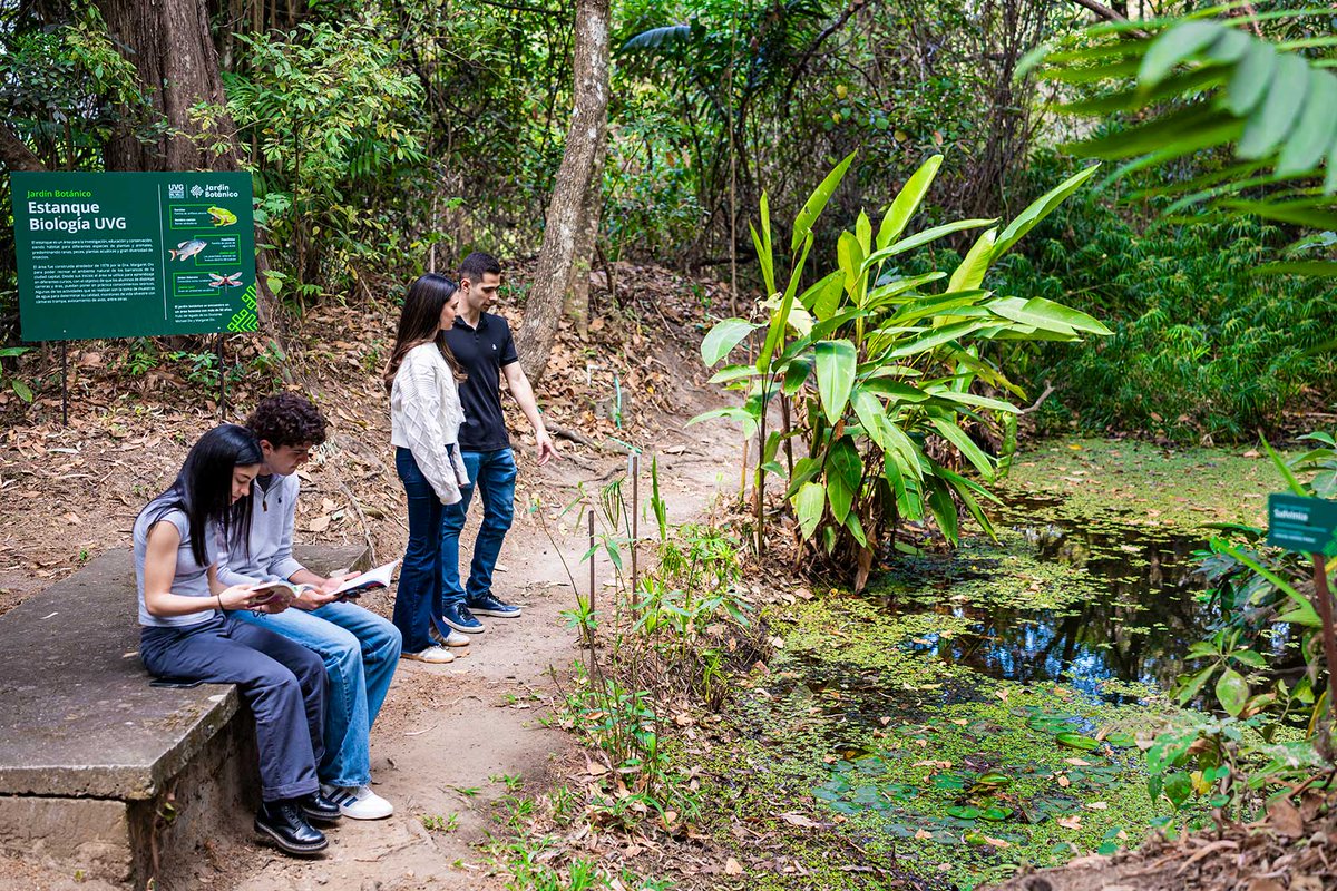 UVG Instituto de Investigaciones tweet media