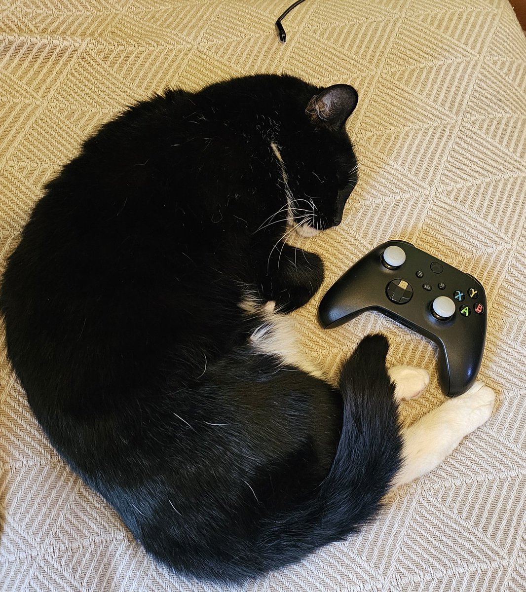 𝑳𝒊𝒌𝒆 𝑻𝒓𝒆𝒆𝒔 𝒊𝒏 𝑵𝒐𝒗𝒆𝒎𝒃𝒆𝒓 🥀 tweet media