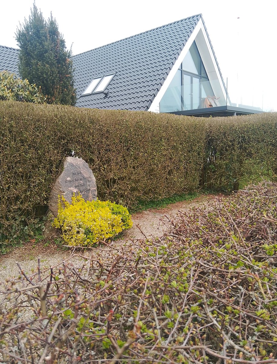 flugRost tweet media