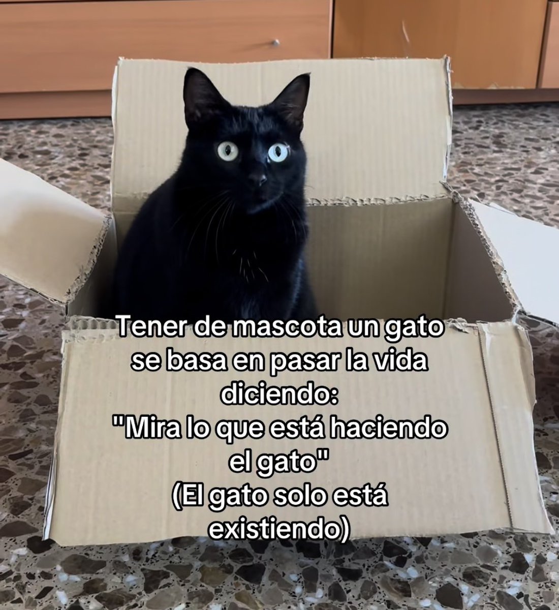 Felicitas73_'s tweet photo. No me dejen sola en esta. https://t.co/miNu4HqNbP