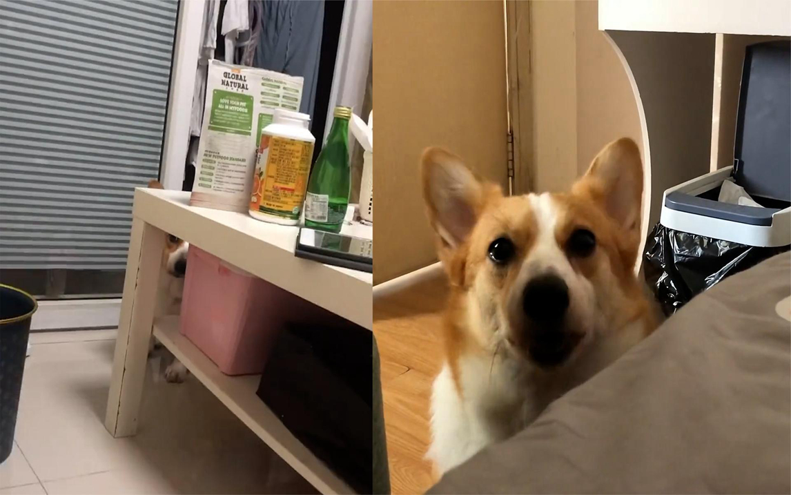 Lynda Wild tweet media