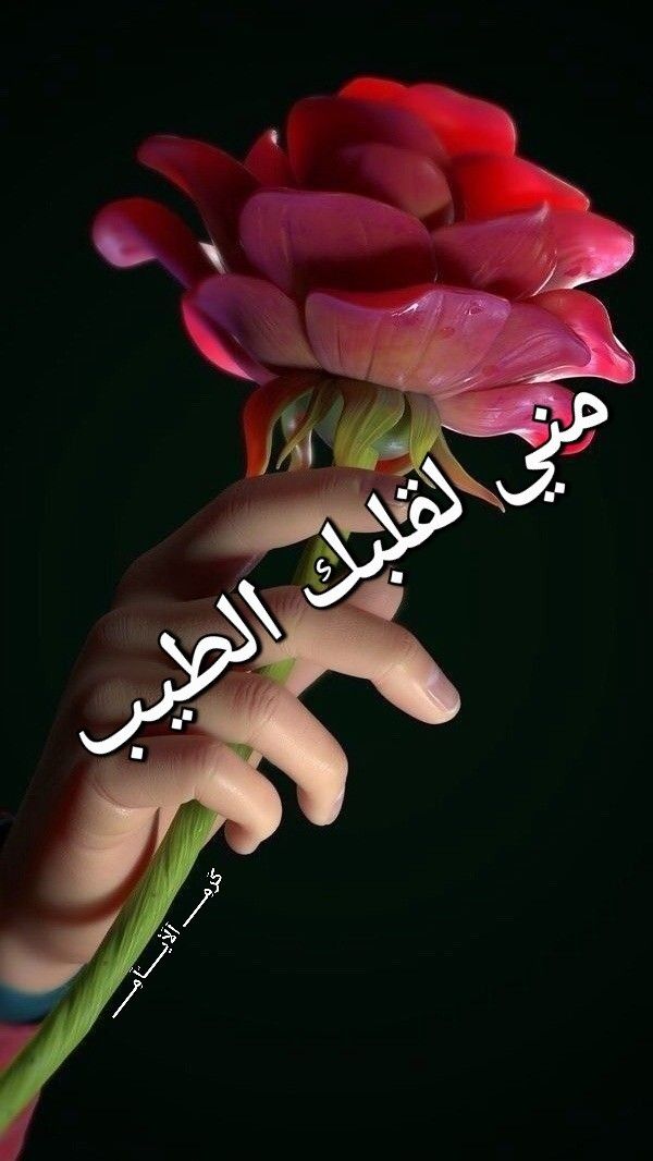 محمد tweet media