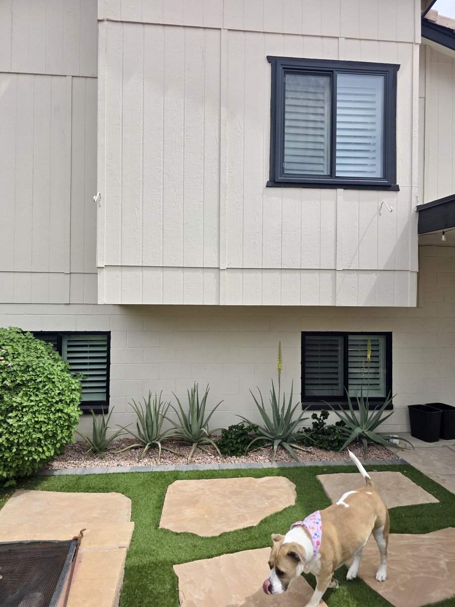 Affwindowsaz's tweet photo. 🖤 Modern look. Better energy efficiency.

These Simonton DaylightMax windows with black frames gave this home a fresh update while boosting energy savings🌵

Get your FREE Estimate📲 480-736-2822
👉 https://t.co/wA2LgJP5AV https://t.co/cSU2XrIFq6