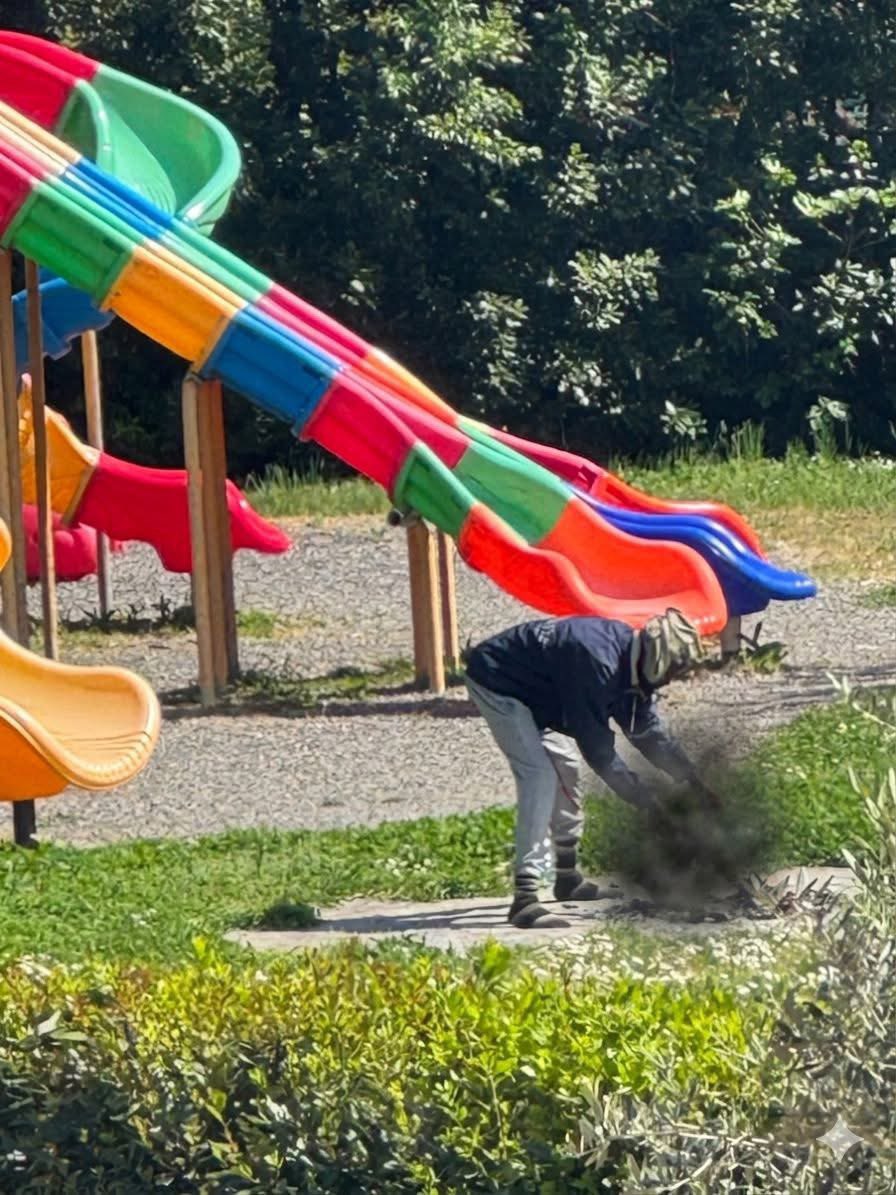 Francesca Totolo tweet media