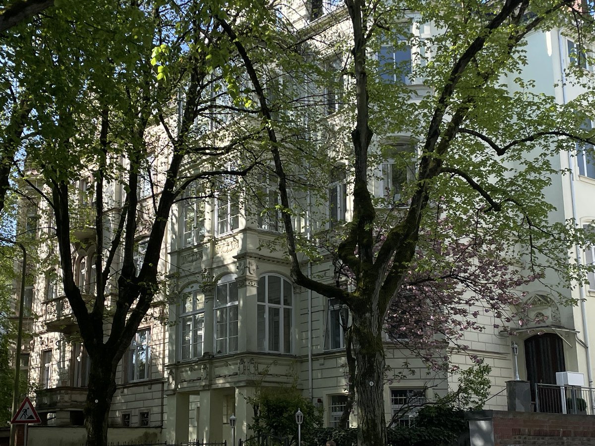 ˚₊· 🩹 tweet media