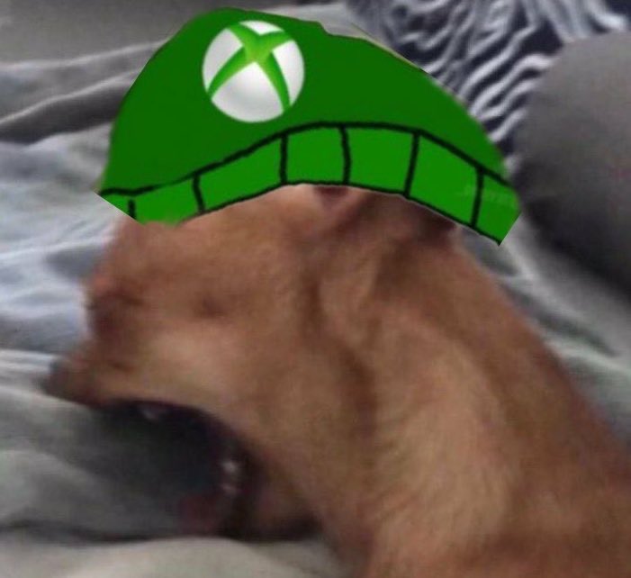 a Activision matou o Xbox!⚰️🪦💀 tweet media