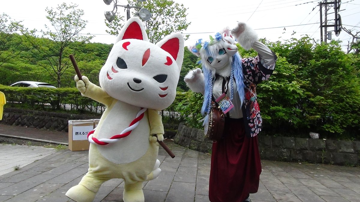 うつのみ～にゃ tweet media