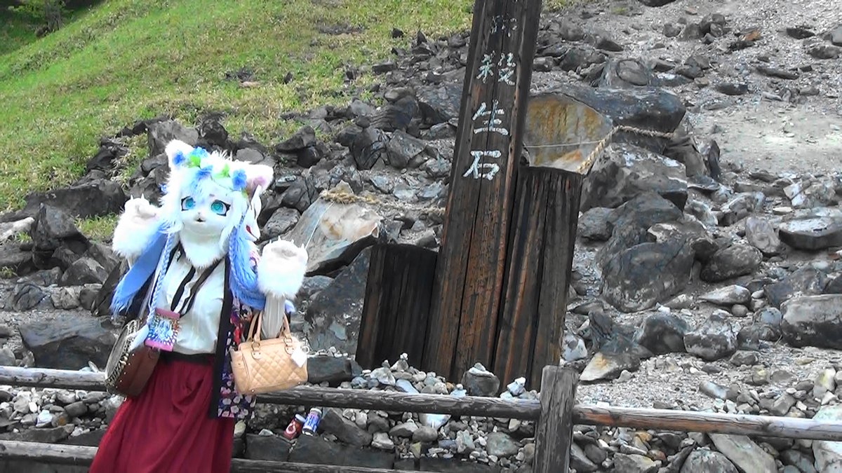 うつのみ～にゃ tweet media