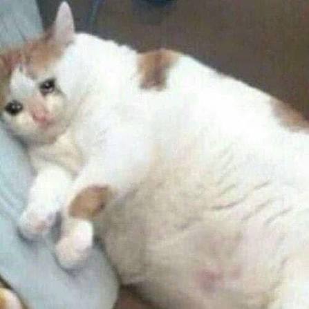 𝓓𝓮𝓻𝓮𝓴'𝓼 𝓥𝓪𝓵𝓮𝓷𝓽𝓲𝓷𝓮 𓊆ྀི❤︎𓊇ྀི tweet media