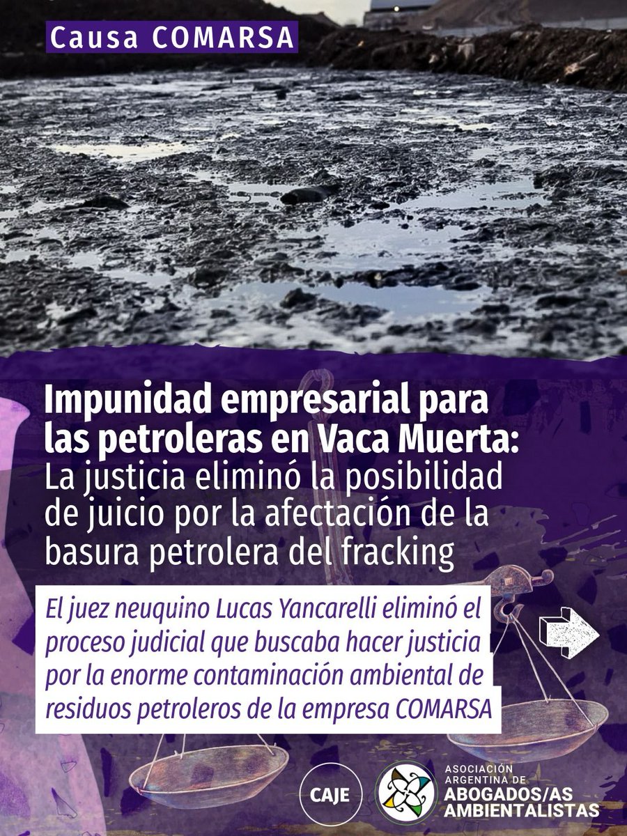 Asoc. Argentina de Abogadxs Ambientalistas / CAJE tweet media