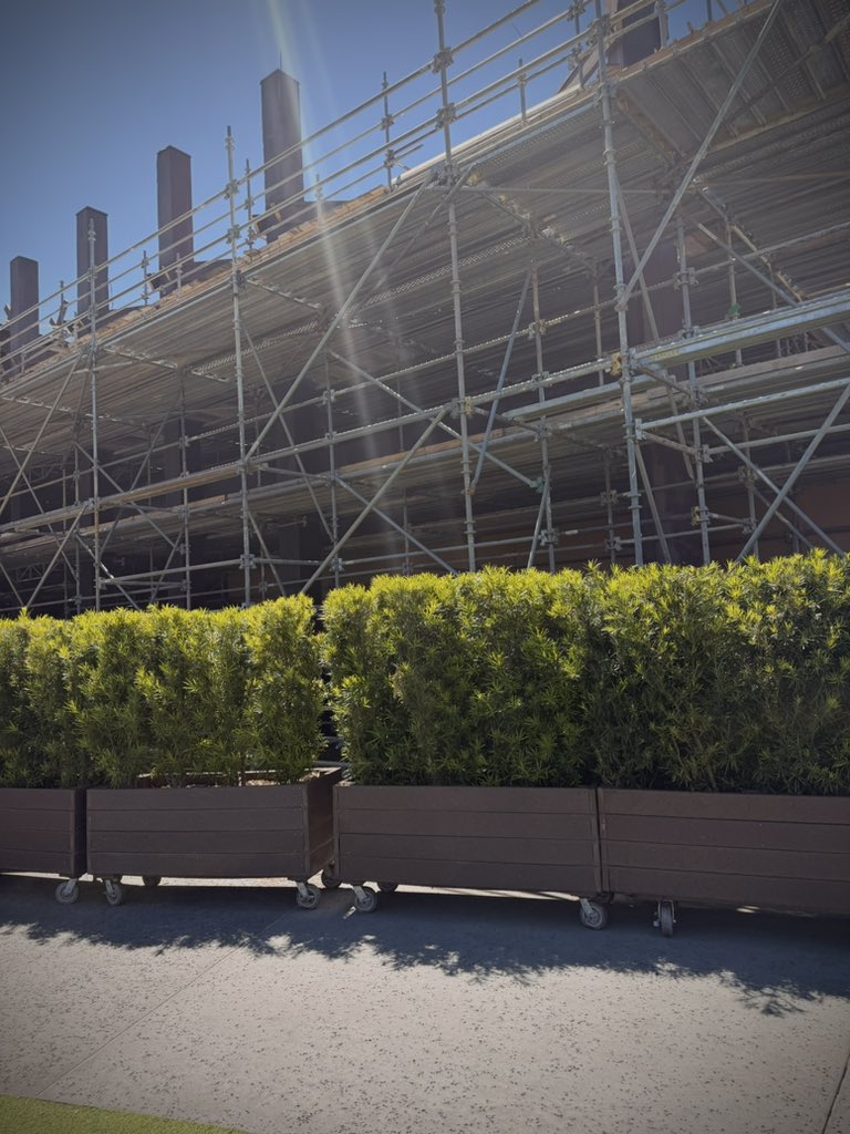 Alex Dieckmann tweet media