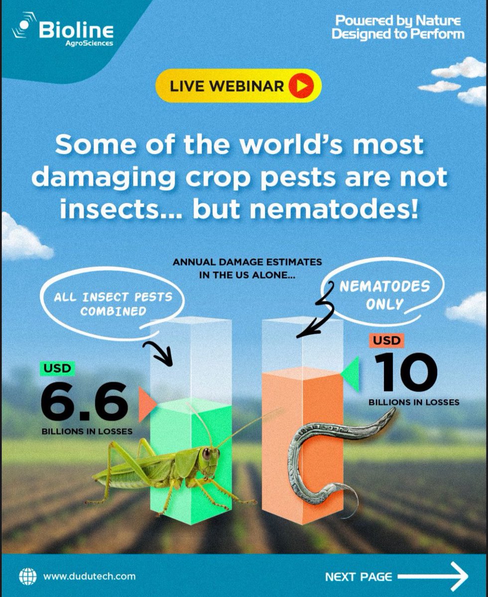 NemAfrica tweet media