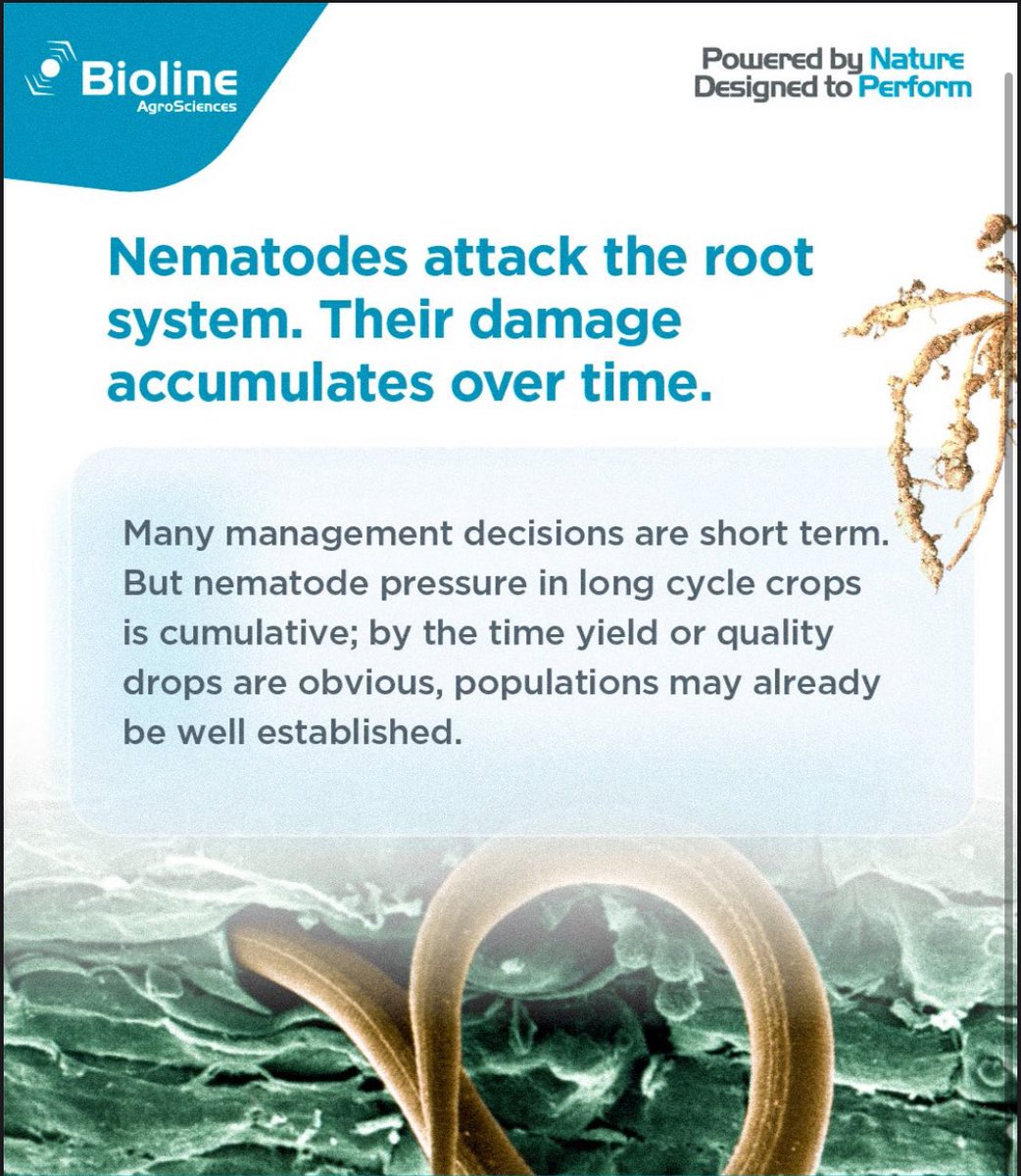 NemAfrica tweet media