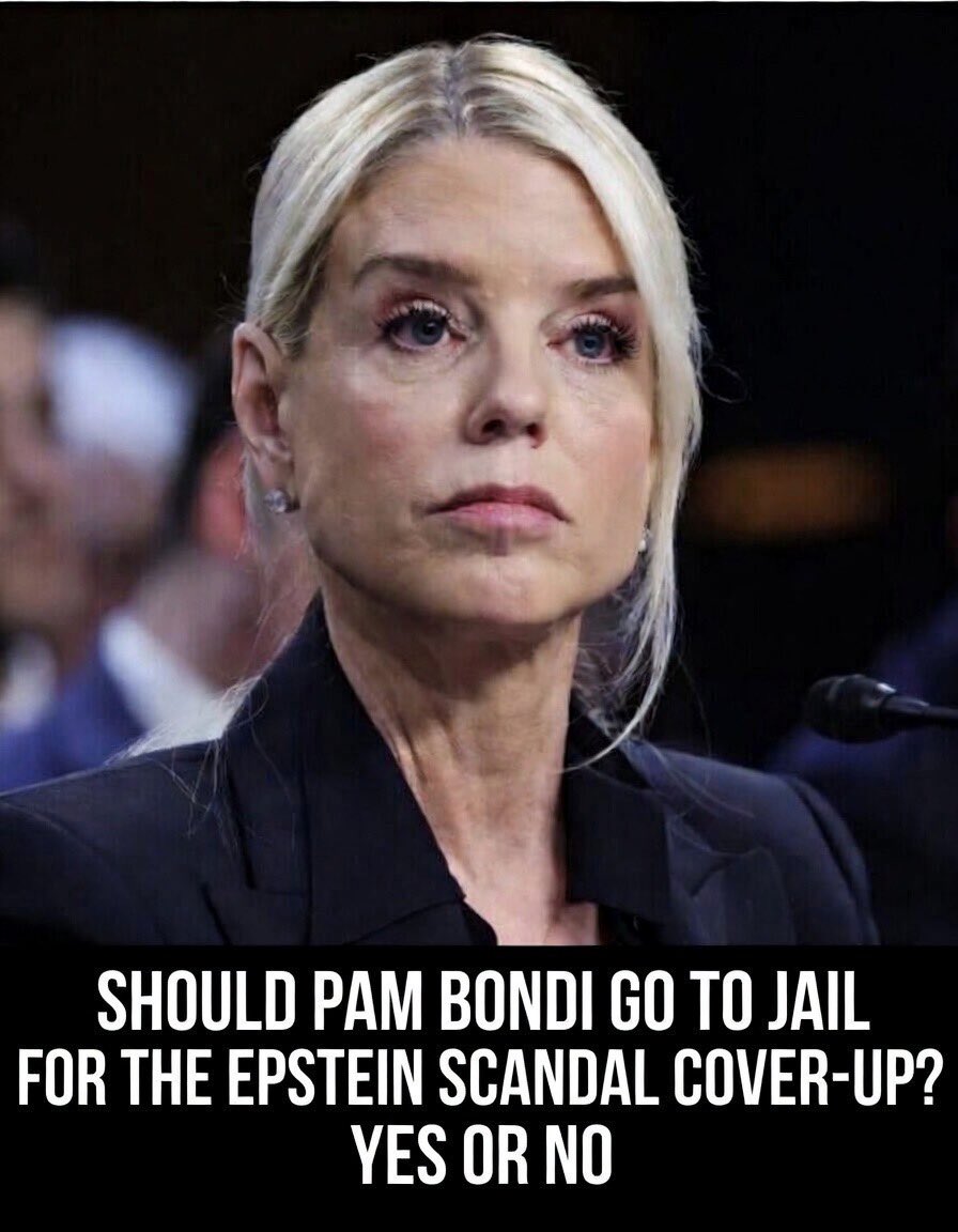 MAGA NEWS tweet media