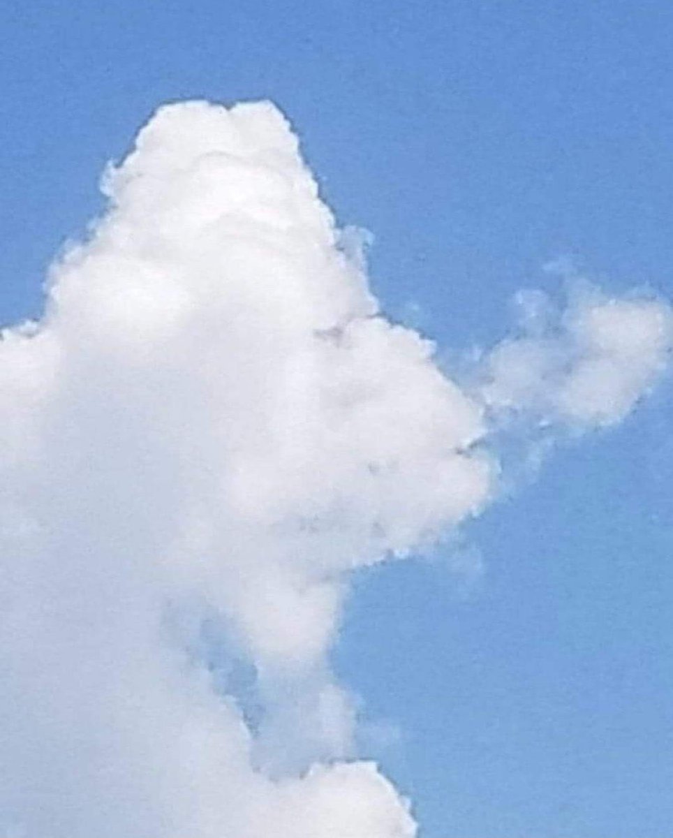𝐌𝐚𝐭𝐭 𝐏𝐢𝐧𝐧𝐞𝐫 tweet media