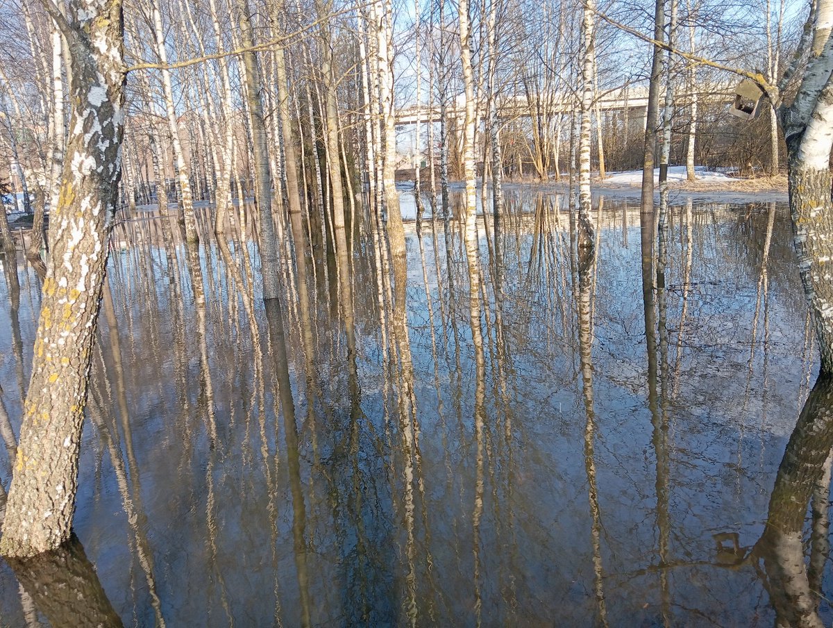 horrorpedia.png tweet media