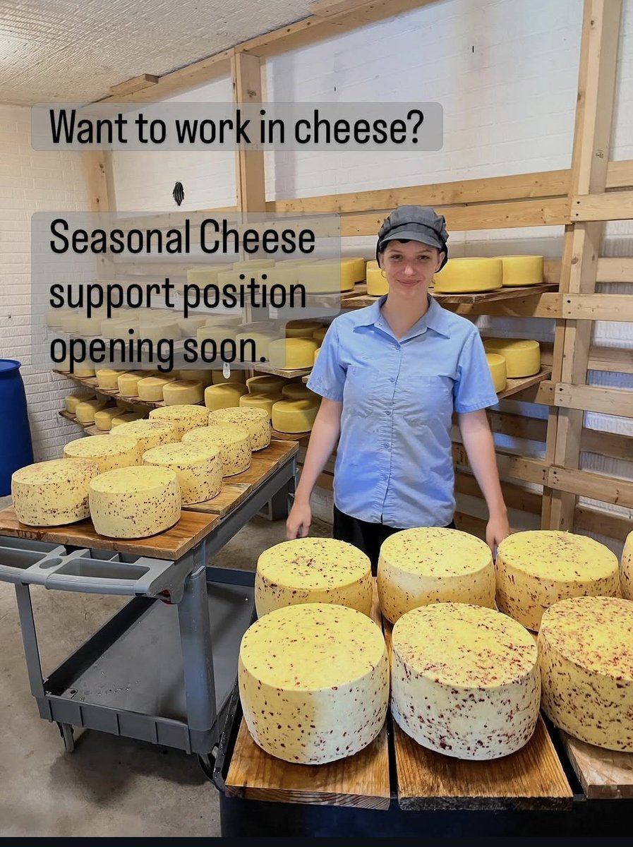 ⤷ ゛𝗔𝗕𝗘𝗟. ˎˊ˗ tweet media