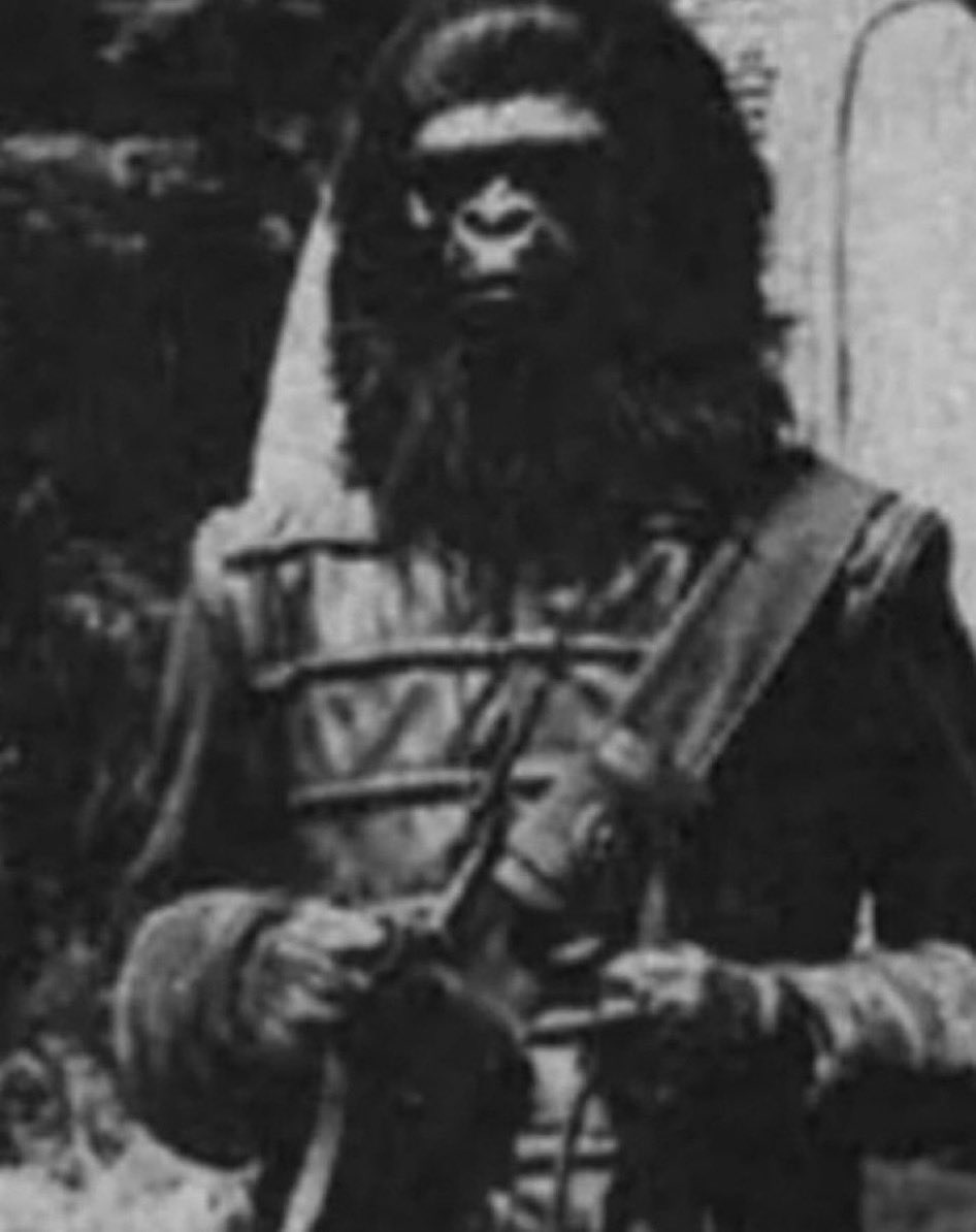 I Sell Rare Bape 🦍 tweet media